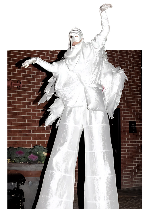 сценический костюм